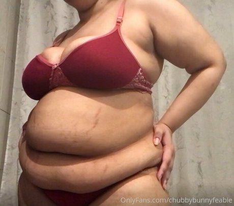 chubbybunnyfeabie nudes star photos