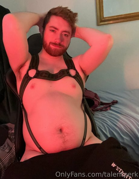 talentperk erotic pornstar archive