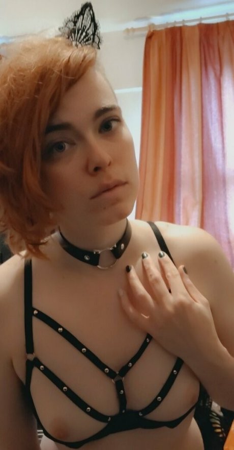 naughtylittlekitten93 high quality star gallery