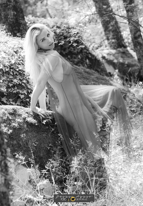 irakerometal free star images