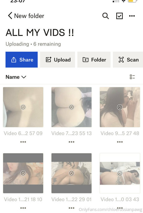 chloerussianpawg model top img