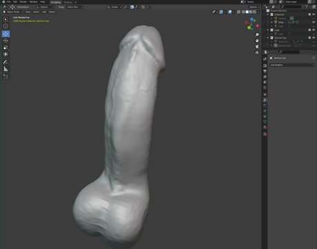 realnickfoxx nudes actress image