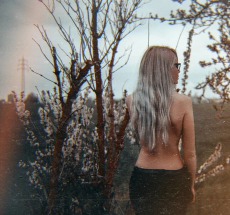 sari safari32 star sex galleries