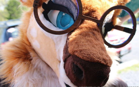 arcticfux pretty pornstar galleries