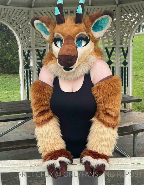 arcticfux porn actress photo