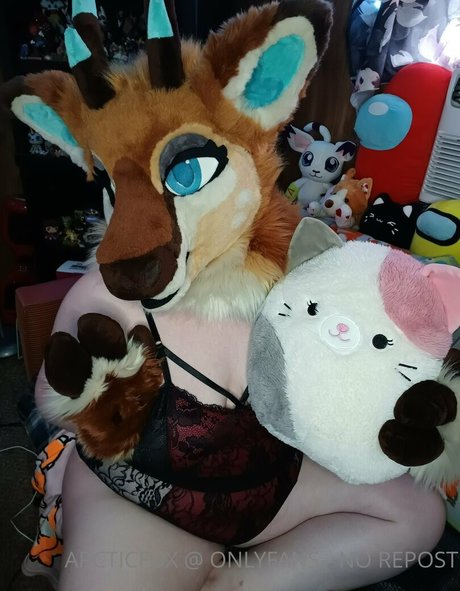 arcticfux erotic pornstar pics