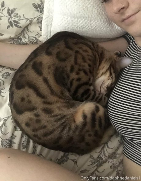 daphnedaniels1 model hd galleries