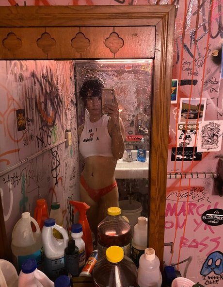 kinkkys perfect star galleries