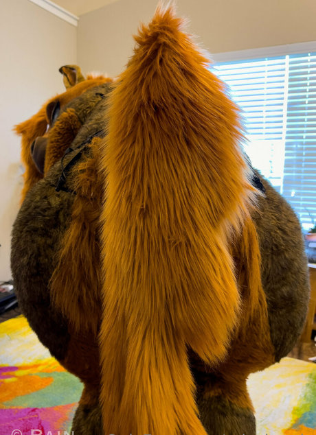 rain horsie pornstar hd archive