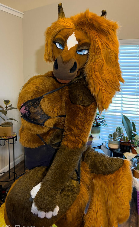 rain horsie best star pictures