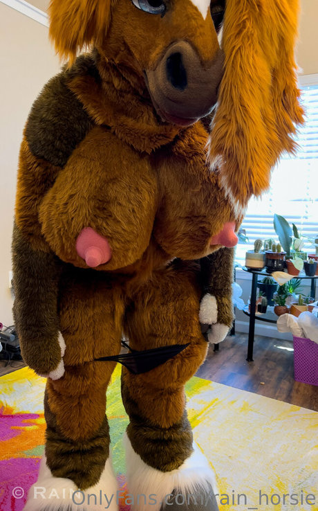 rain horsie pornstar top picture