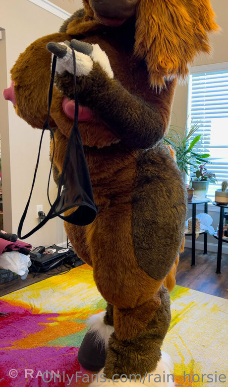 rain horsie hd model archive