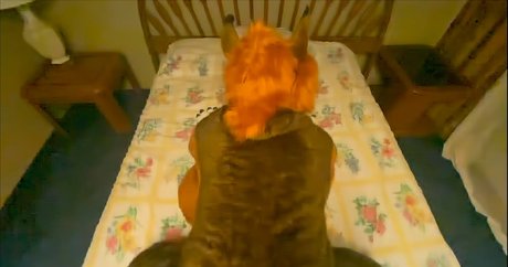 rain horsie star erotic img