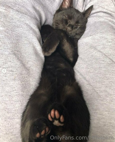 littlelolim model hd image