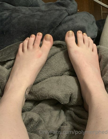 Polymorphed best model img