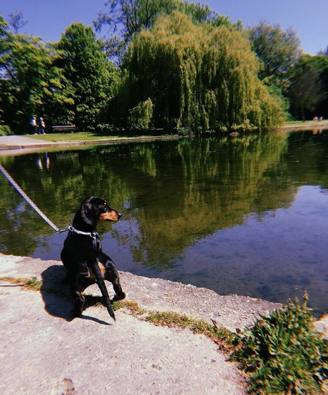 Lotten Sheppard sex pornstar pictures