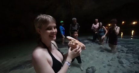 swebliss art star pictures