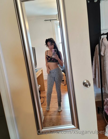 xsugarvulpesx model top picture