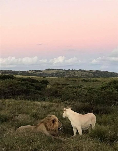 naughtyvettech erotic actress archive