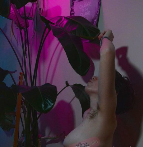 Wrendosia model free picture