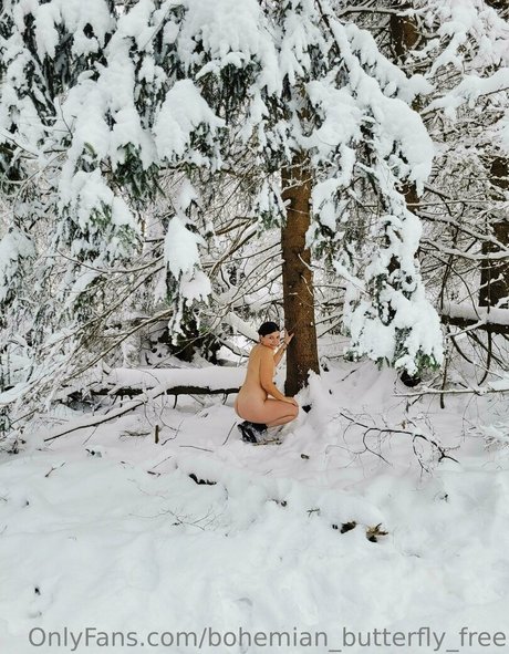 bohemian butterfly free erotic model archive