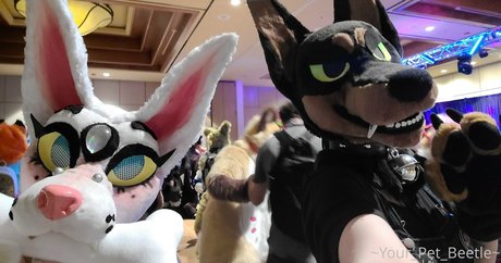 strwbrryinsides best pornstar pictures