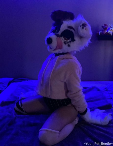 strwbrryinsides star pornographic photo