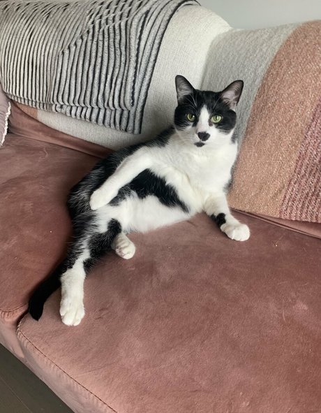 lauuu x star hd images