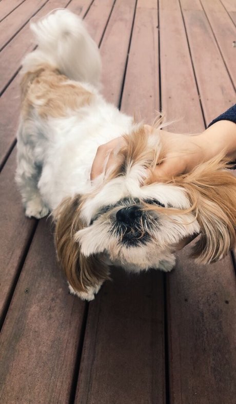 Leah Booth beautiful star photo