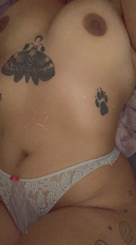 sundazed Profile pic