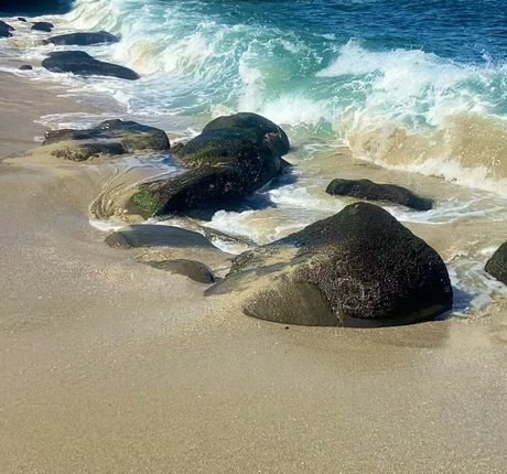 Sarai Fonseca model exclusive galleries