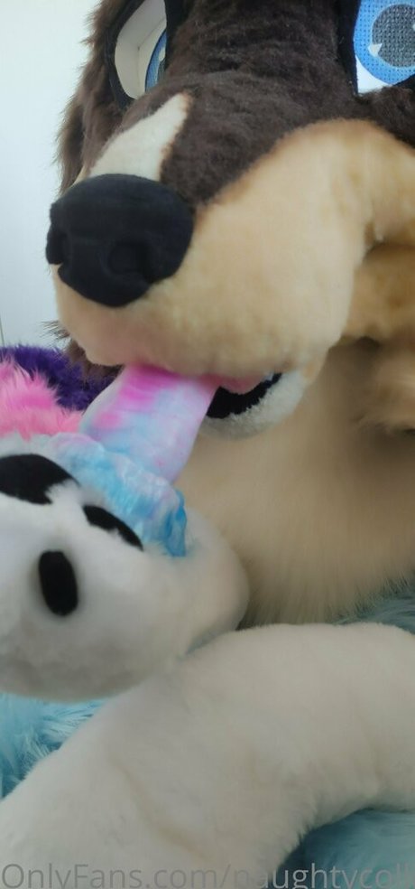 naughtycolliead hd star images