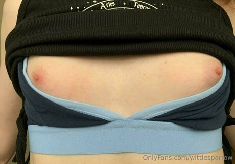 wittlesparrow hd model images