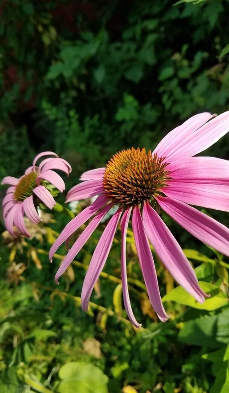 driftinggem pornographic star photos