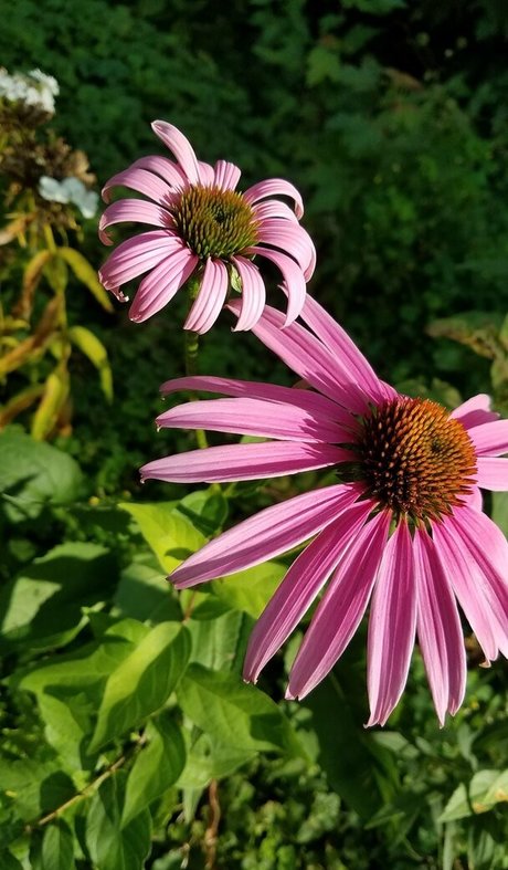 driftinggem top model photo