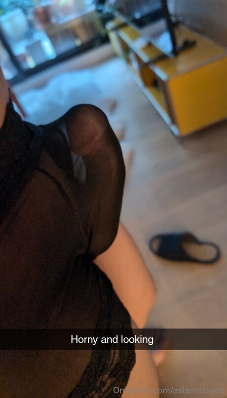 asiansissycd pornstar sex image