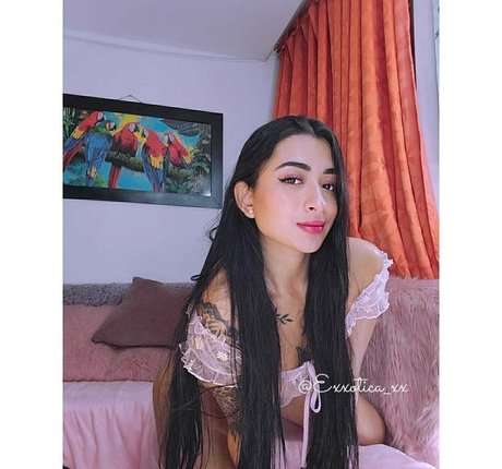 exxotica xx star pornographic archive