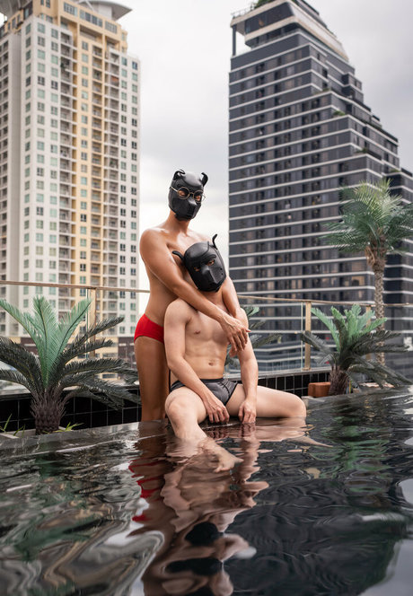 th cellox star art img