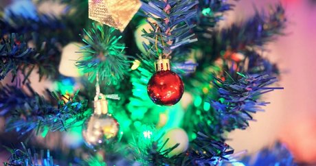 th cellox best star pics