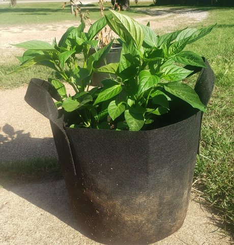 hairy redhead onlyfans free sex pics