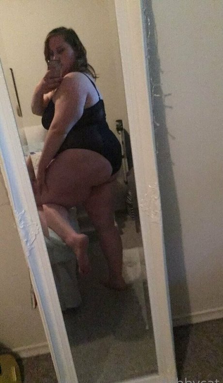 tabby cat95 star hd image