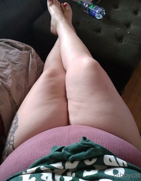 tabby cat95 best star image