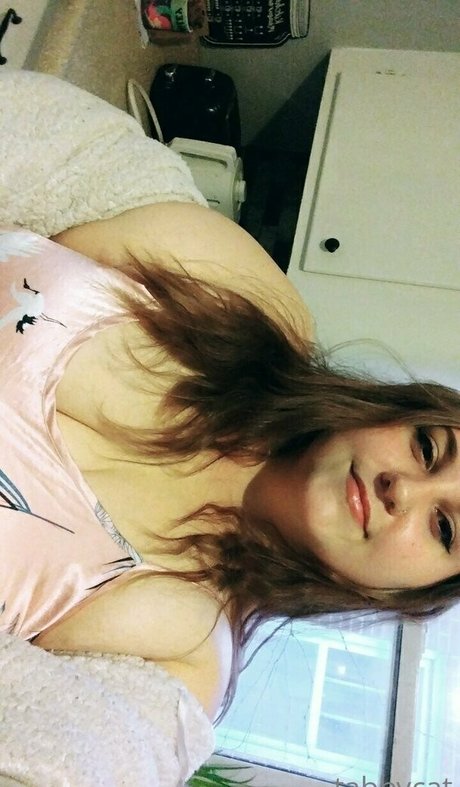 tabby cat95 perfect star archive