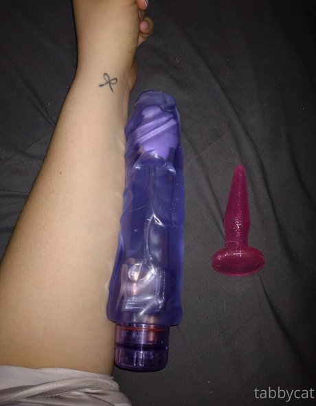 tabby cat95 star exclusive galleries