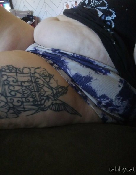 tabby cat95 pornstar free photos