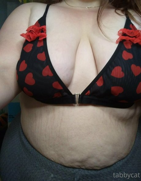 tabby cat95 pornstar free photo