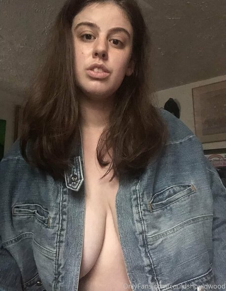 couldshouldwood pornstar art photos