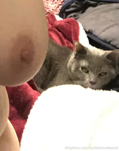 couldshouldwood pornographic model pic