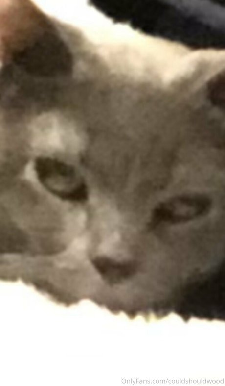 couldshouldwood porn model photo