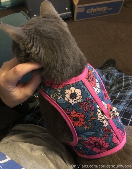 couldshouldwood model nudes pic